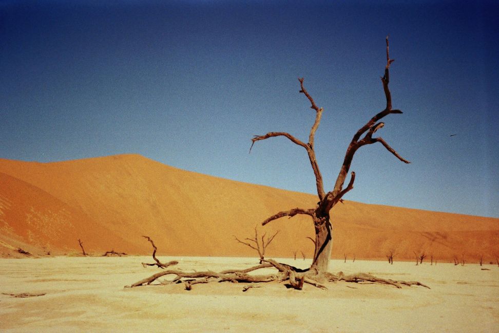 Desert